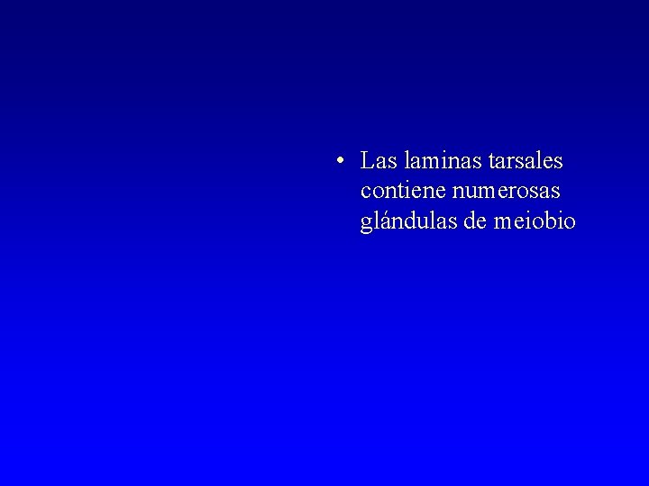  • Las laminas tarsales contiene numerosas glándulas de meiobio 