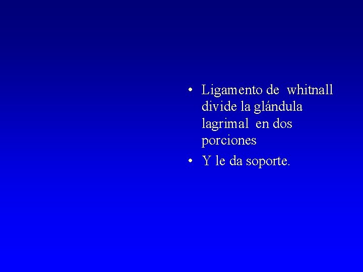  • Ligamento de whitnall divide la glándula lagrimal en dos porciones • Y