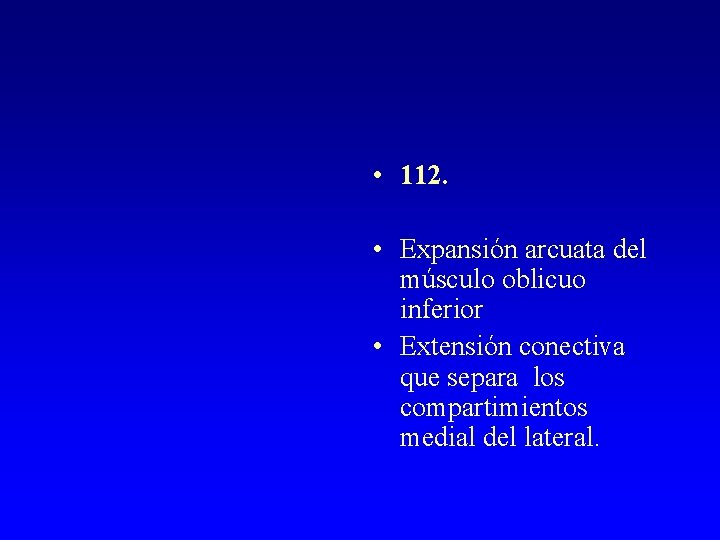  • 112. • Expansión arcuata del músculo oblicuo inferior • Extensión conectiva que