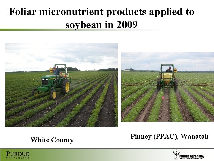 Foliar micronutrient products applied to soybean in 2009 White County Pinney (PPAC), Wanatah 