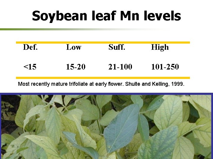 Soybean leaf Mn levels Def. Low Suff. High <15 15 -20 21 -100 101