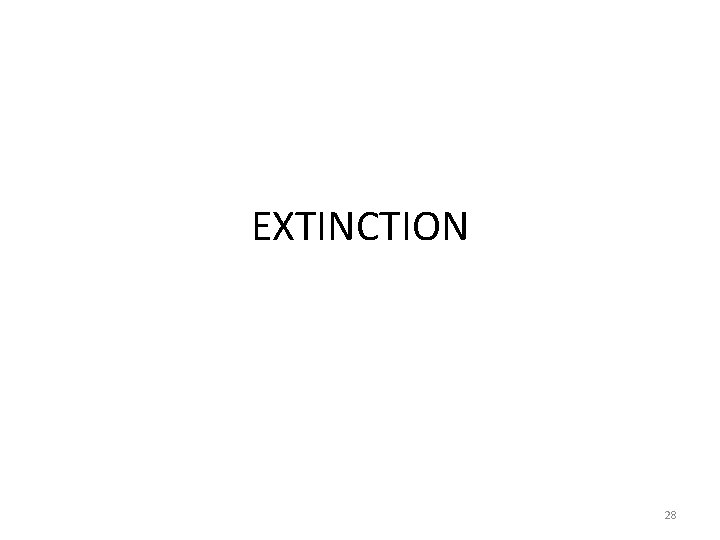 EXTINCTION 28 