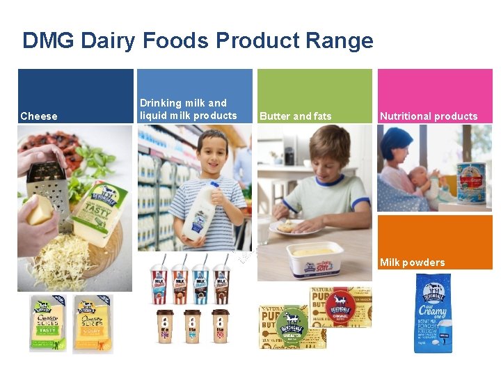 DMG Dairy Foods Product Range Cheese Drinking milk and liquid milk products Butter and