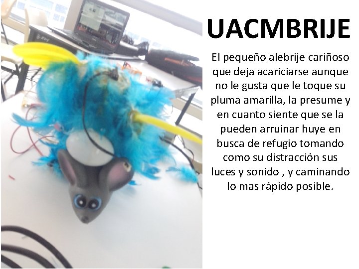 UACMBRIJE El pequeño alebrije cariñoso que deja acariciarse aunque no le gusta que le