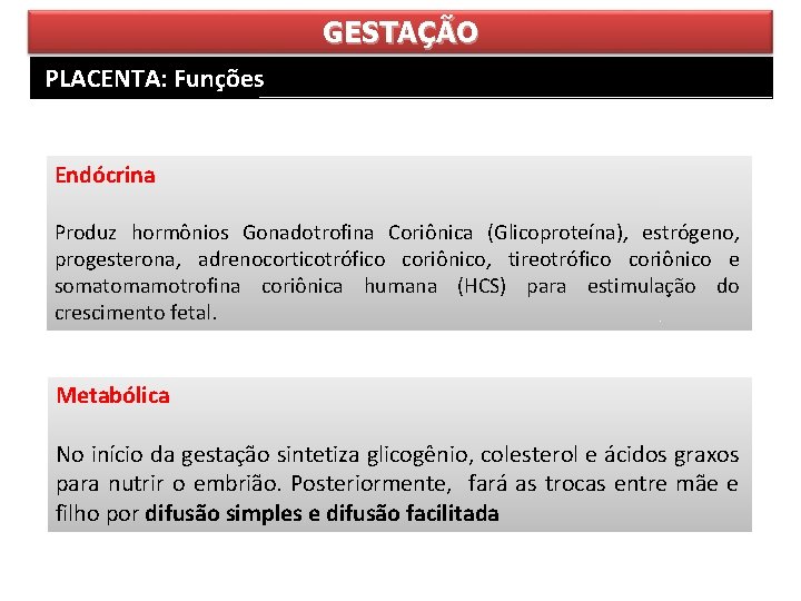 GESTAÇÃO PLACENTA: Funções Endócrina Produz hormônios Gonadotrofina Coriônica (Glicoproteína), estrógeno, progesterona, adrenocorticotrófico coriônico, tireotrófico