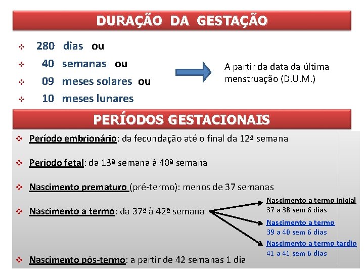 DURAÇÃO DA GESTAÇÃO v v 280 40 09 10 dias ou semanas ou meses