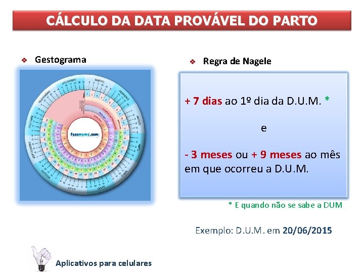 CÁLCULO DA DATA PROVÁVEL DO PARTO v Gestograma v Regra de Nagele + 7