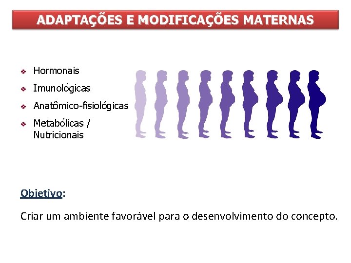 ADAPTAÇÕES E MODIFICAÇÕES MATERNAS ORGANISMO MATERNO v Hormonais v Imunológicas v Anatômico-fisiológicas v Metabólicas