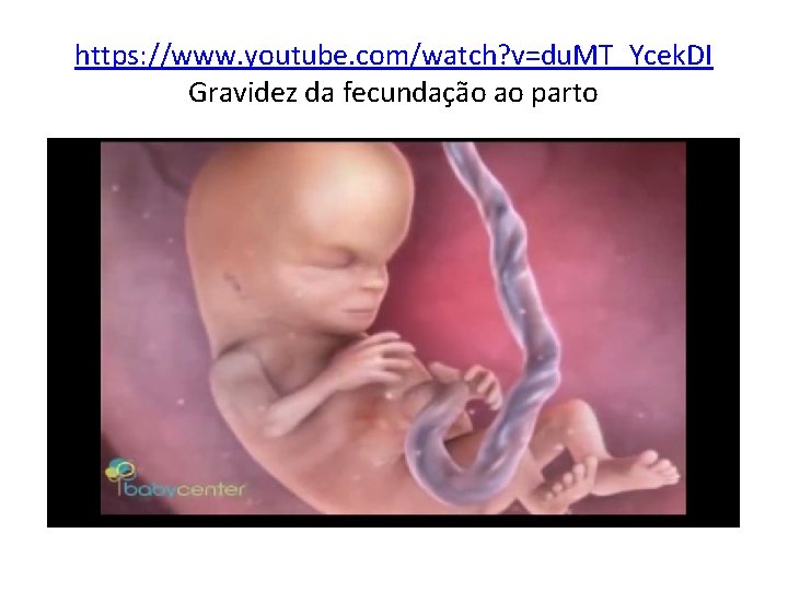 https: //www. youtube. com/watch? v=du. MT_Ycek. DI Gravidez da fecundação ao parto 