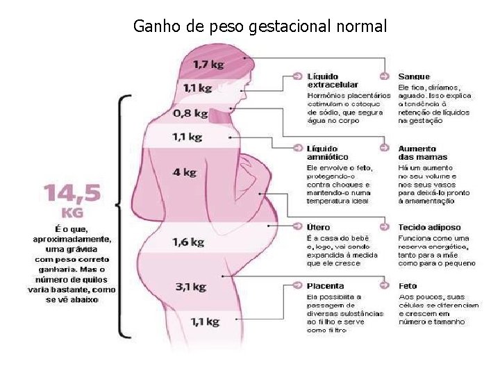 Ganho de peso gestacional normal 