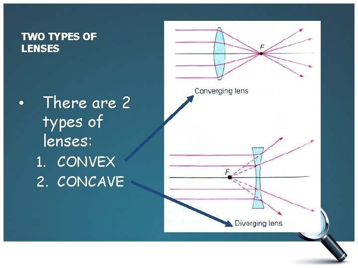 TWO TYPES OF LENSES • There are 2 types of lenses: 1. CONVEX 2.