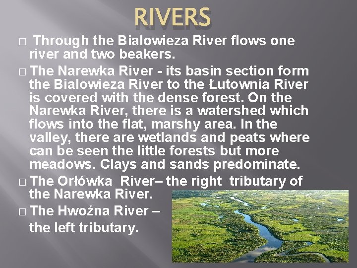 RIVERS Through the Bialowieza River flows one river and two beakers. � The Narewka