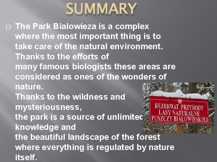 SUMMARY � The Park Bialowieza is a complex where the most important thing is