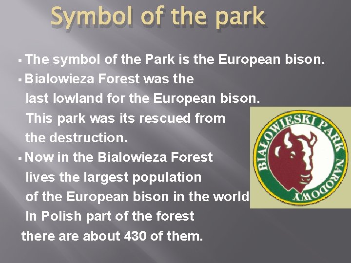 Symbol of the park The symbol of the Park is the European bison. §