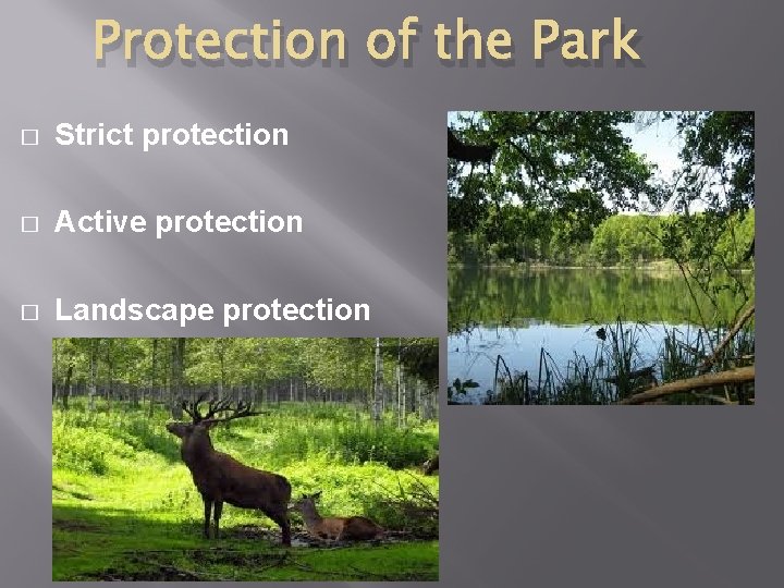 Protection of the Park � Strict protection � Active protection � Landscape protection 