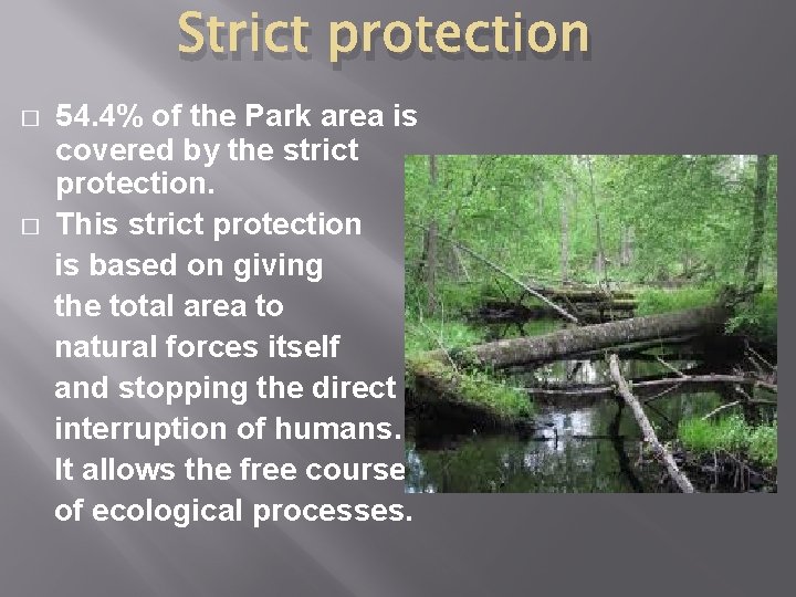 Strict protection � � 54. 4% of the Park area is covered by the