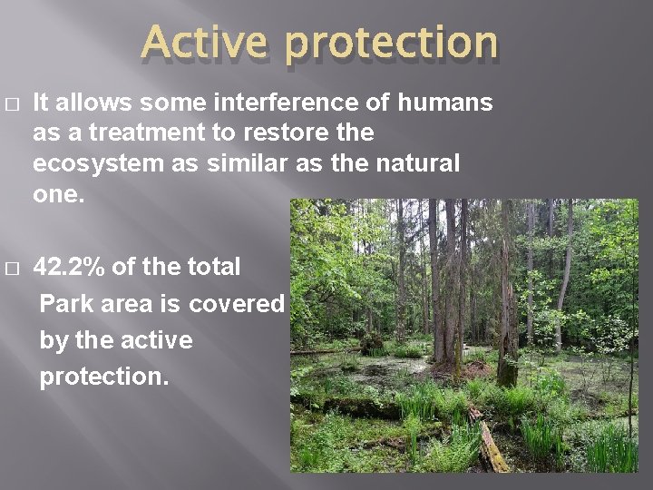 Active protection � It allows some interference of humans as a treatment to restore