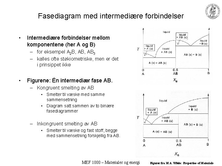 Fasediagram med intermediære forbindelser • Intermediære forbindelser mellom komponentene (her A og B) –