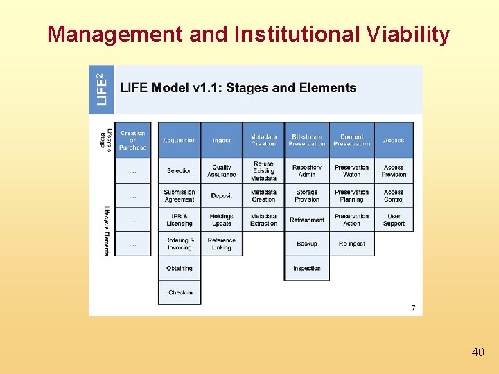 Management and Institutional Viability 40 