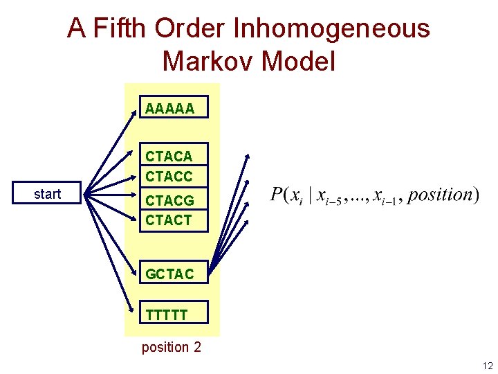 A Fifth Order Inhomogeneous Markov Model AAAAA CTACC start CTACG CTACT GCTAC TTTTT position