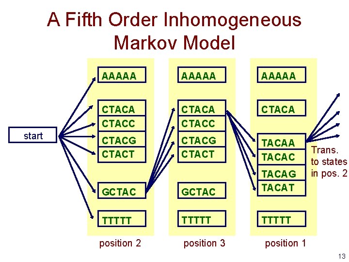 A Fifth Order Inhomogeneous Markov Model start AAAAA CTACC CTACA CTACG CTACT TACAA TACAC