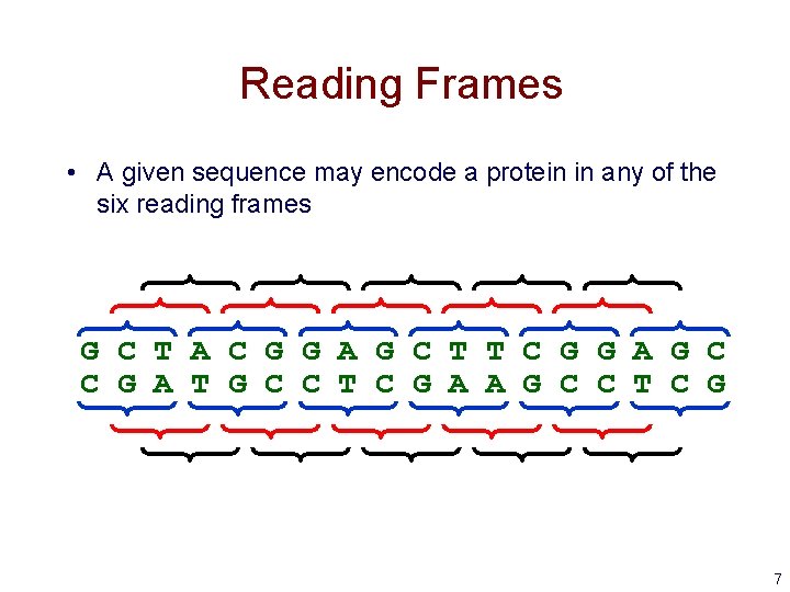 Reading Frames • A given sequence may encode a protein in any of the