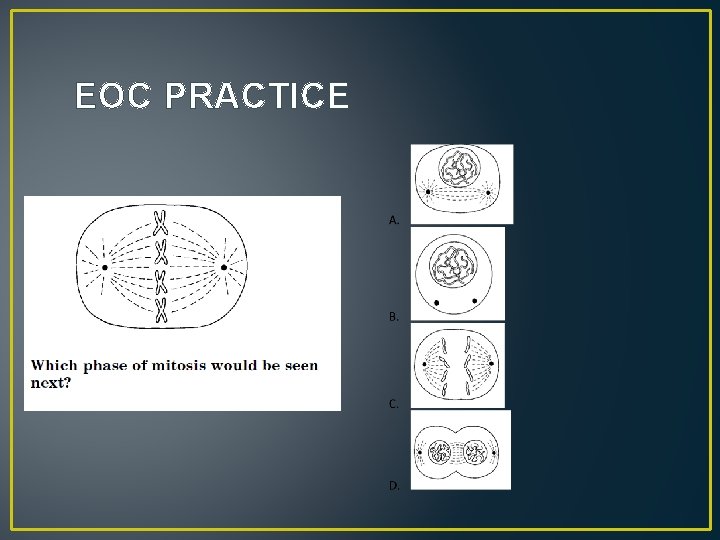 EOC PRACTICE 