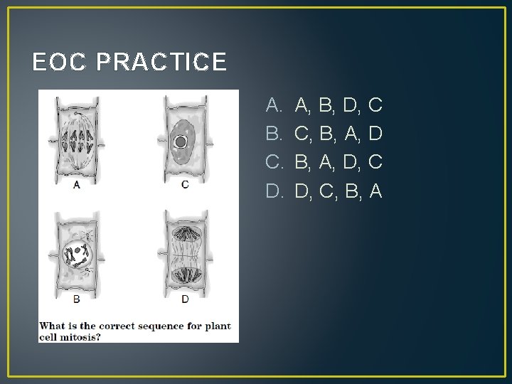 EOC PRACTICE A. B. C. D. A, B, D, C C, B, A, D,