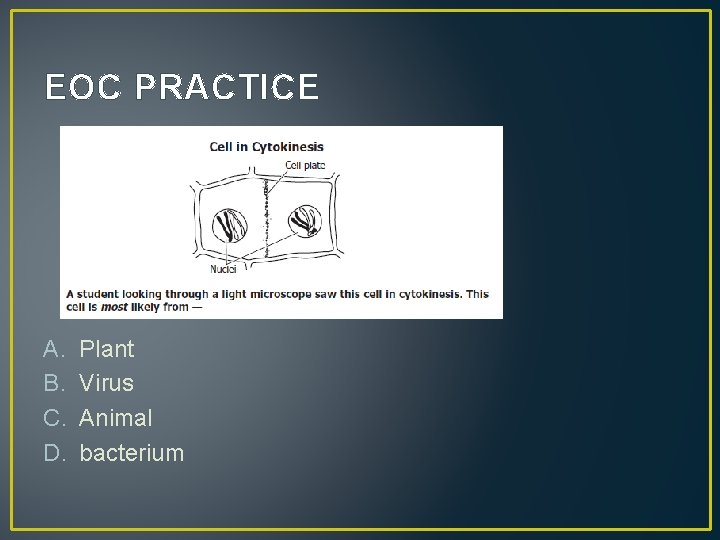 EOC PRACTICE A. B. C. D. Plant Virus Animal bacterium 