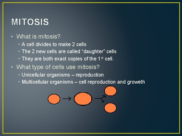 MITOSIS • What is mitosis? • A cell divides to make 2 cells •