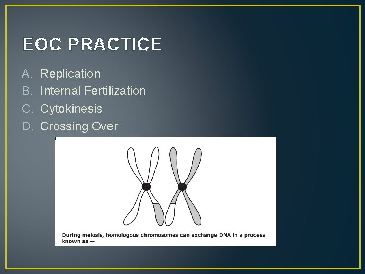 EOC PRACTICE A. B. C. D. Replication Internal Fertilization Cytokinesis Crossing Over 