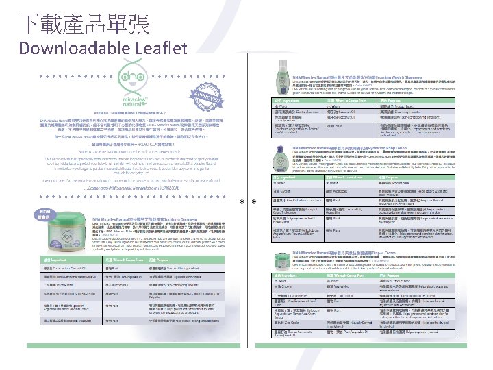 下載產品單張 Downloadable Leaflet 