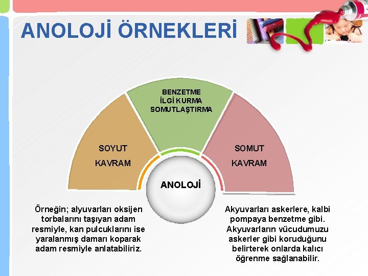 ANOLOJİ ÖRNEKLERİ BENZETME İLGİ KURMA SOMUTLAŞTIRMA SOYUT SOMUT KAVRAM ANOLOJİ Örneğin; alyuvarları oksijen torbalarını