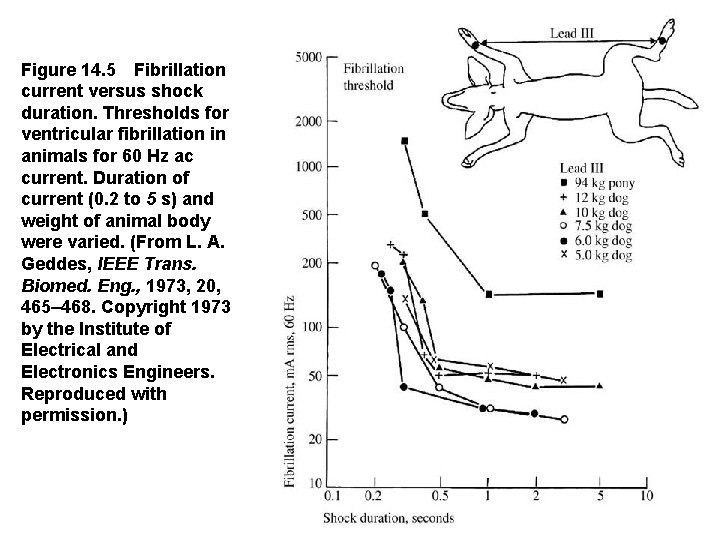 Figure 14. 5 Fibrillation current versus shock duration. Thresholds for ventricular fibrillation in animals for