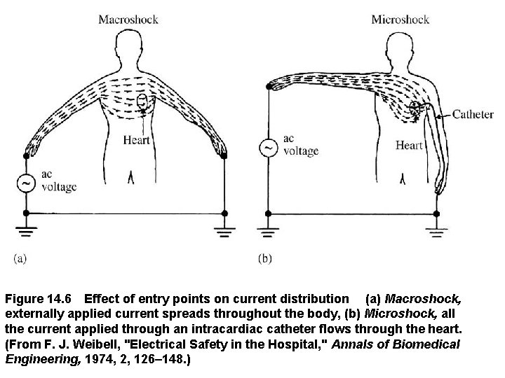 Figure 14. 6 Effect of entry points on current distribution  (a) Macroshock, externally applied current
