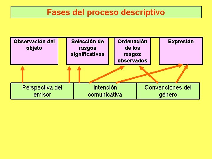 Fases del proceso descriptivo Observación del objeto Perspectiva del emisor Selección de rasgos significativos