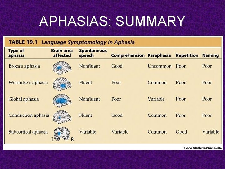 APHASIAS: SUMMARY 