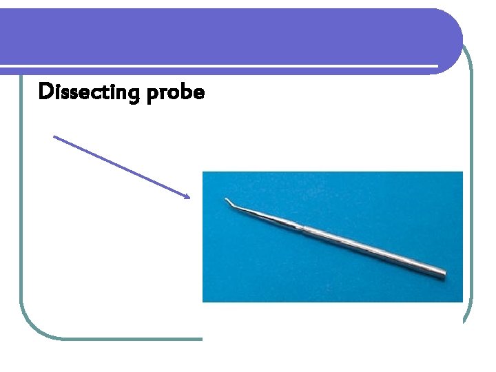 Dissecting probe 