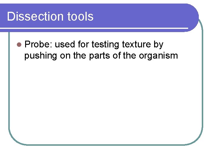 Dissection tools l Probe: used for testing texture by pushing on the parts of