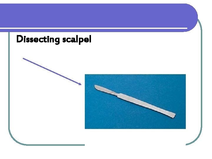 Dissecting scalpel 