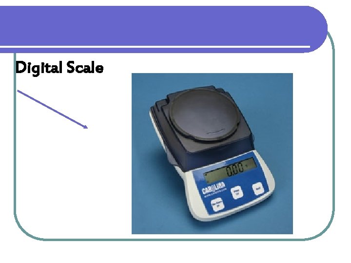 Digital Scale 