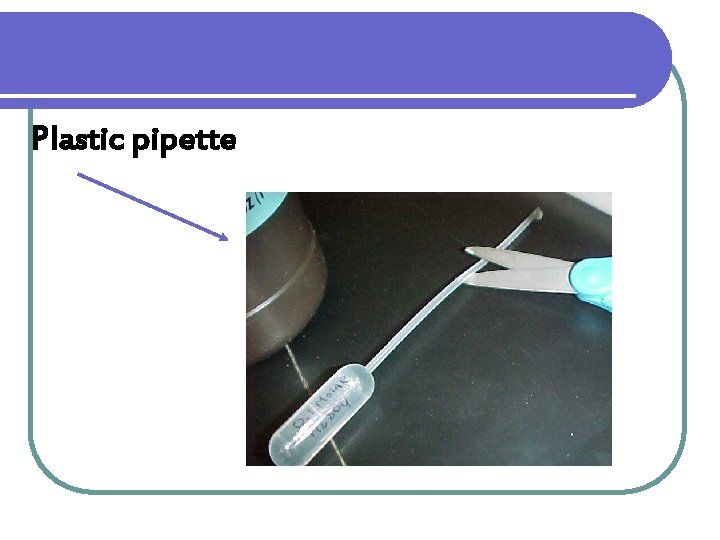 Plastic pipette 