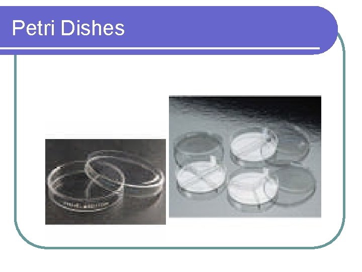 Petri Dishes 