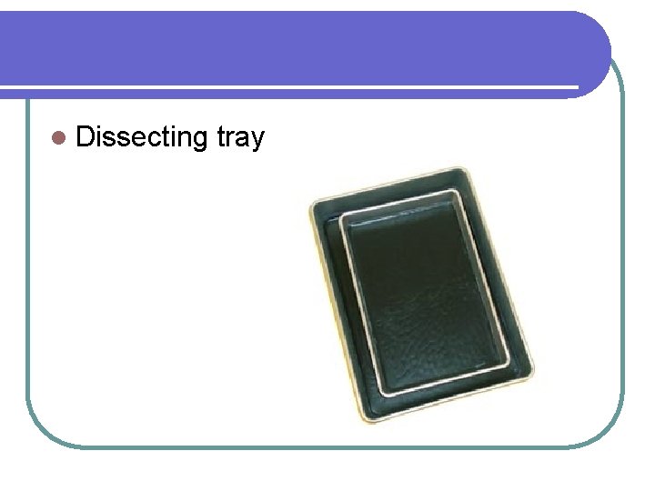 l Dissecting tray 