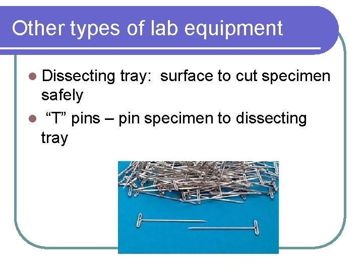 Other types of lab equipment l Dissecting tray: surface to cut specimen safely l