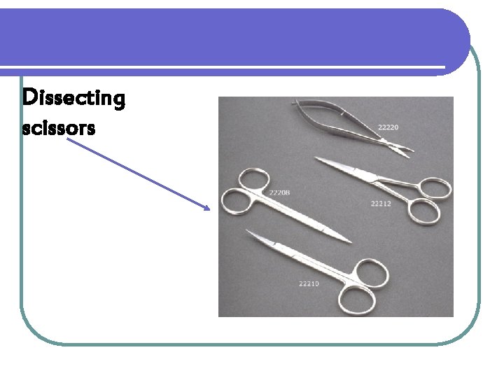 Dissecting scissors 