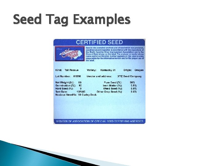 Seed Tag Examples 