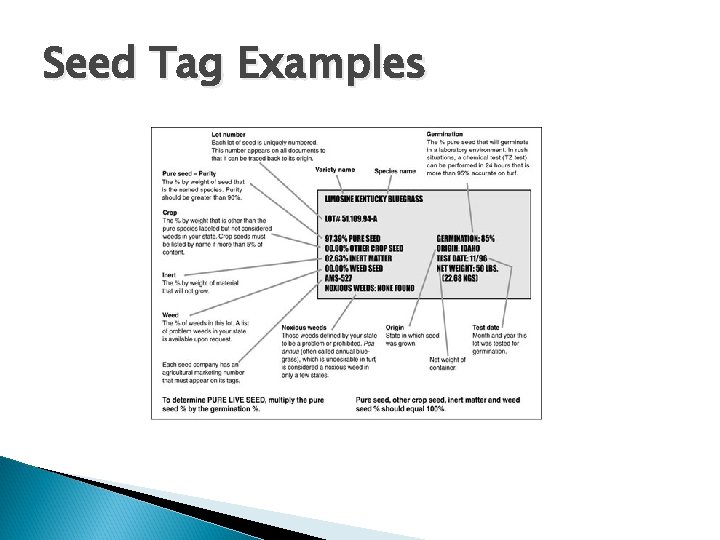 Seed Tag Examples 