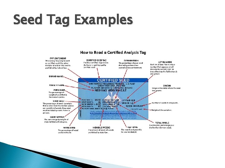Seed Tag Examples 