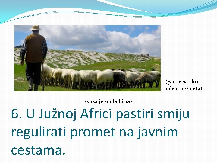 (pastir na slici nije u prometu) (slika je simbolična) 6. U Južnoj Africi pastiri